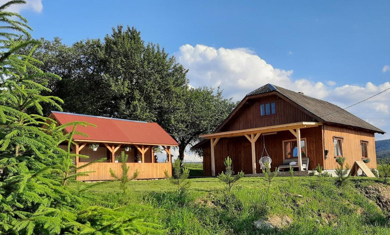 Villa Омріяні Карпати Smozhe Esterno foto