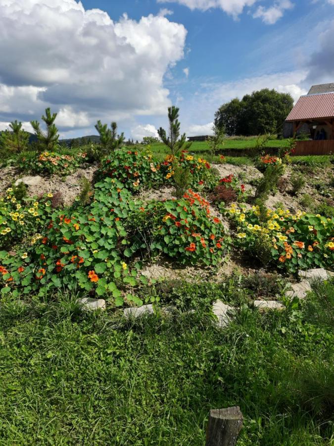 Villa Омріяні Карпати Smozhe Esterno foto
