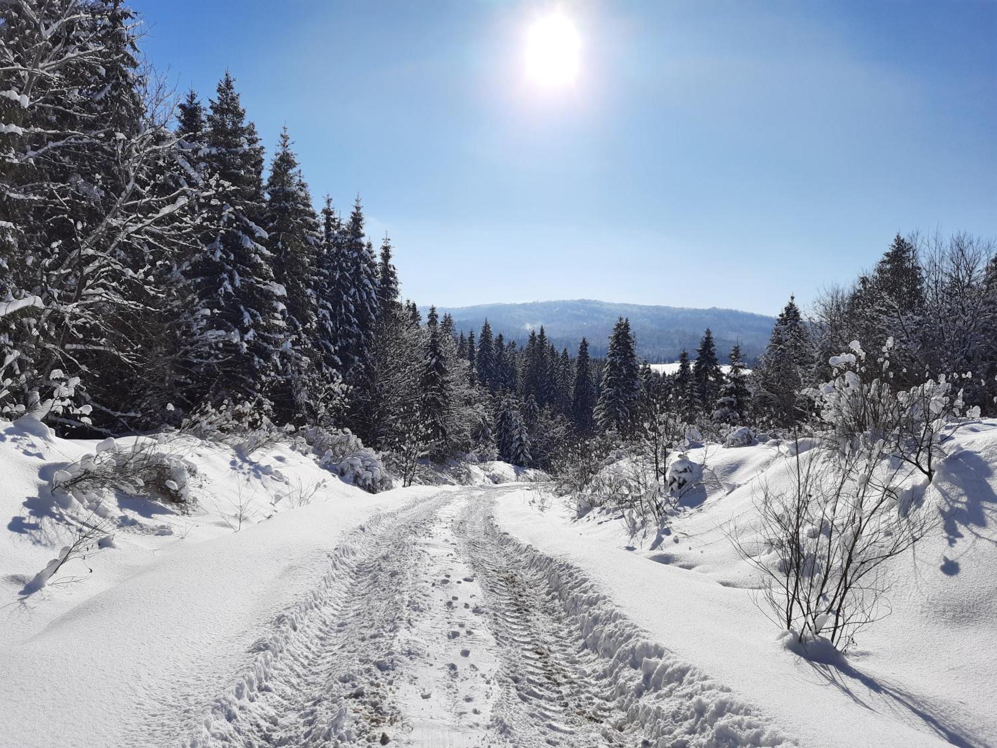 Villa Омріяні Карпати Smozhe Camera foto